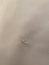 1970s Butterfly Collar Shirt